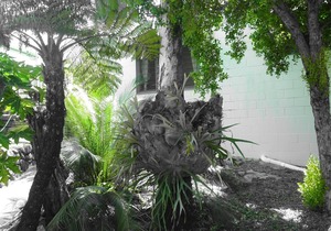 Apurla Island Retreat - Fraser Island
