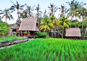 Arma Museum & Resort