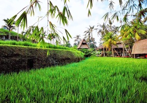 Arma Museum & Resort