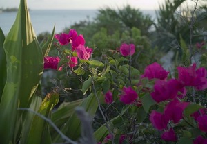 Astoundingly Pure and Blue Ocean View- Quiet and Serene Vacation Spot Awaits You