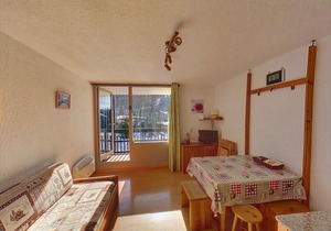 AT208 - Studio aux Carroz proche base de loisirs