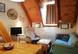 Attic duplex with rustic touch - Cuc 2