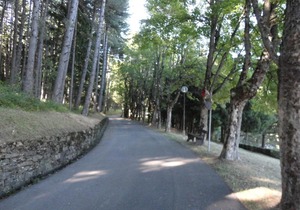 Attico Residence Selva dei Pini