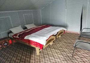 Auspicious Camp Pangong