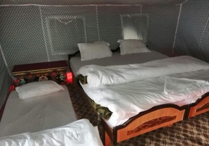 Auspicious Camp Pangong
