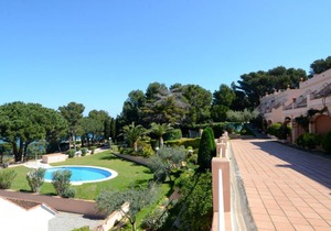 Ava Senia 4-1