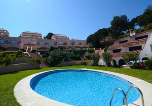 Ava Senia 4-1