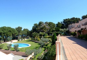 Ava Senia 4-1