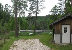 Awesome home in Mellerud with 3 Bedrooms and Sauna