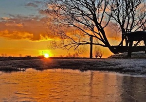 B&B Jardin - Schagen