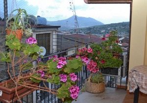 B&B Jolly house Bolognetta