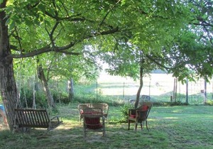 B&B La casa dei prugni