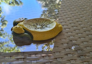 b&b La Limonaia a mare 04