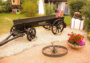 B&B Pervinca