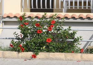 Baia dei Canonici Apartments