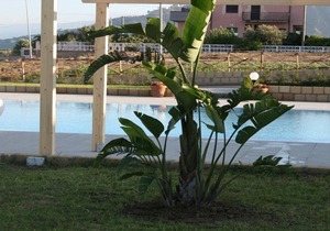 Baia dei Canonici Apartments