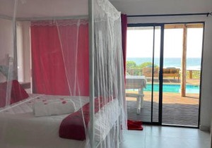 Baleia Azul 14