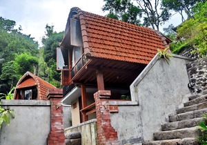 Bali Jungle Huts