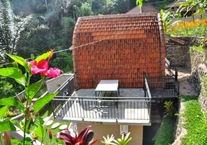 Bali Jungle Huts