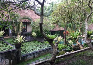 Balinese Style Superior Room in Sukawati Gianyar, Lush Garden in the Property