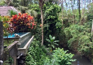 Balinese Style Superior Room in Sukawati Gianyar, Lush Garden in the Property