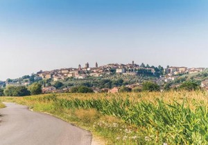 Barbaiano C
