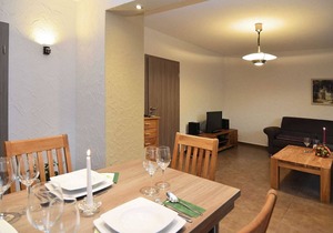Barrier-free, modern apartment with terrace at the foot of Hallenburg Castle