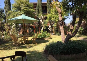 Batur Sunrise Guesthouse ~ Family room with garden view
