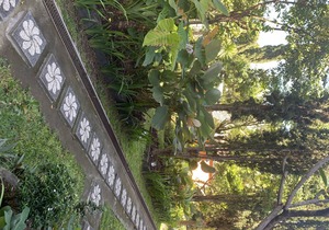 Batur Sunrise Guesthouse ~ Family room with garden view