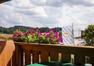 Bay window apartment (80 sqm) on the upper floor with south-facing balcony and infrared sauna