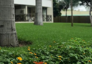 Beach Place Resort Residence