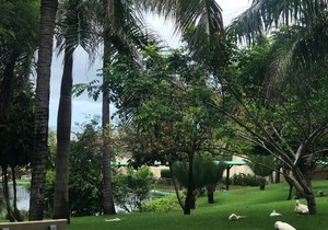 Beach Place Resort Residence