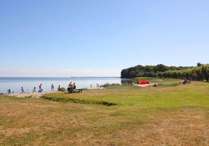 Beachfront apartment with terrace and sea view - Ferienhaus Boddenblick FeWo EG