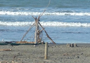 Beachfront Flats