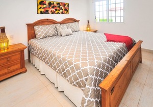 Beachfront, large Pool, lap pool, & Jacuzzi, Barbecue area, Spectacular Gardens