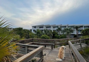 Beachside Colony Resort Oceanfront Townhome Newly Renovated
