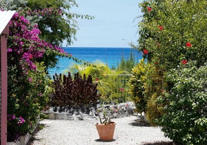 Beachside Cottage - right on the beach!