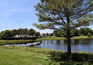 Bear Trap Dunes - 10 Sycamore
