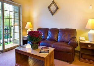 Beautiful 1 bedroom unit at resort, sleeps 6