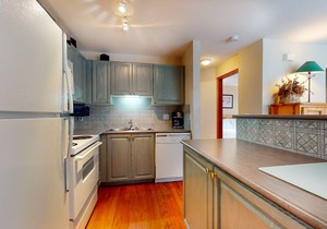 Beautiful 1st-floor condo with fireplace & patio, short walk or shuttle to lifts