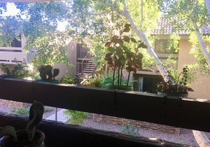 BEAUTIFUL AND UPDATED ARCADIA CONDO w/POOL/SPA/GYM