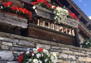 Beautiful apartment in private chalet, equiped for 12 people, 6 bedrooms, 5 bathrooms and private sauna.
