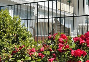 Beautiful vacation apartment for four guests with sea view and terrace in Pelzerhaken