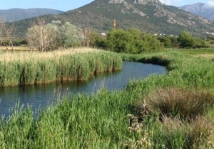 Beautiful Duplex 6 per, terrace, swimming pool, 500 m from the beach LOZARI, shops 50m