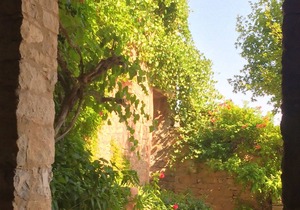 beautiful farmhouse with summer pool in stonehouse of the 18th century with pool