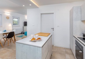 Beautiful house on 4000 m2 plot.