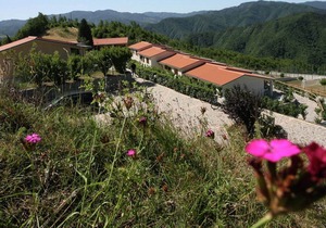Beautiful home with terrace, located in nature