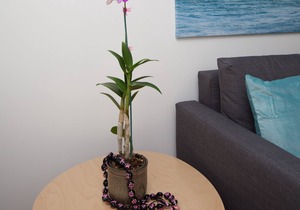 Beautiful Kailua Home, near the beach and 6 minutes walk to Kailua town