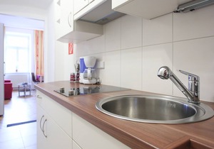 Beautiful, newly renovated apartment for 2 people