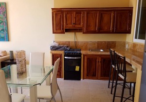 Beautiful Ocean View 1-Bedroom Condo at Vista Encantada 106